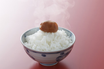 ご飯と梅干し