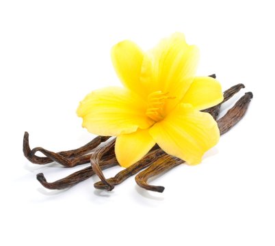 Bl&uuml;te, Vanille