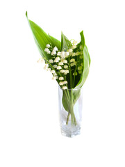 lilly of the valley bouquet isolated over white background