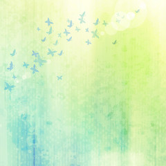 grunge background with butterflies © orangeberry