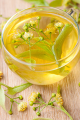 Lindenblütentee mit frischen Blüten