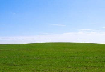 nature green field background