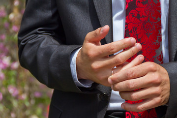Hands of the bridegroom