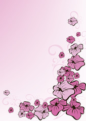 floral pink grunge background