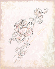 vintage greeting card with roses