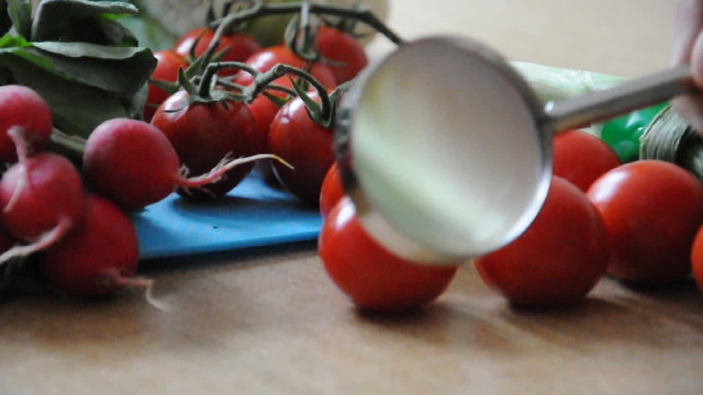 Gem&uuml;se unter der Lupe