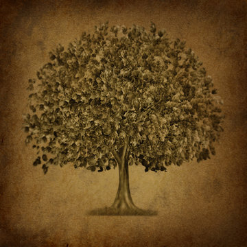 Growth tree symbol with grunge texture