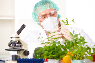Researcher holding up a GMO vegetable in the laboratory