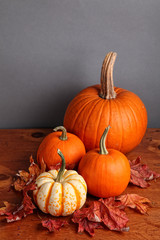 Fall Pumpkin and Decorative Squash