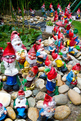 Fototapeta premium Garden Gnomes