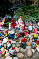Obraz premium Garden Gnomes
