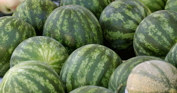 Melonen
