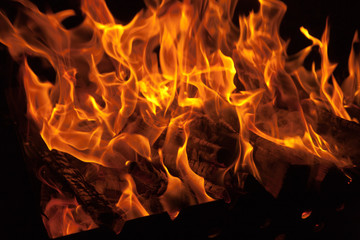 Burning fire wood