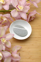 Obraz na płótnie Canvas Miska z kamienia PLZ z kwiat orchidei