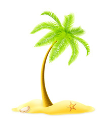 Naklejka premium Palm tree