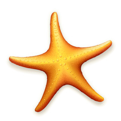 Sea Starfish