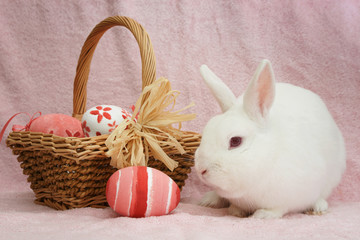 easter bunny with basket of eggs