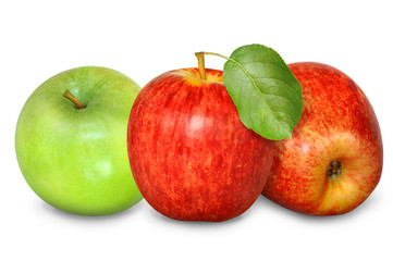 Obst 331