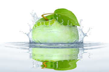 Obst 362