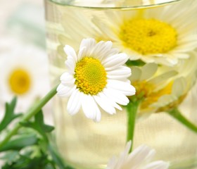 Sanfte Medizin, Kamille