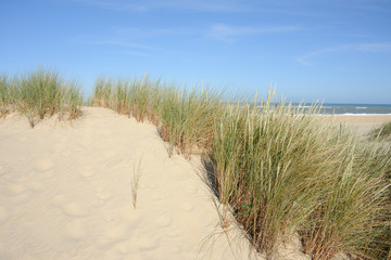 Fototapeta na wymiar dune et océan 3