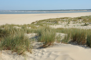 Fototapeta na wymiar dune et océan 4