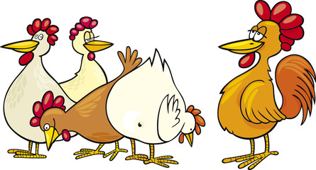 Rooster and hens © Igor Zakowski
