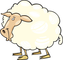 Cartoon sheep