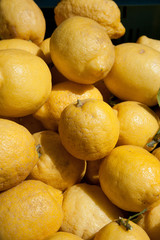 Ecological grown lemons