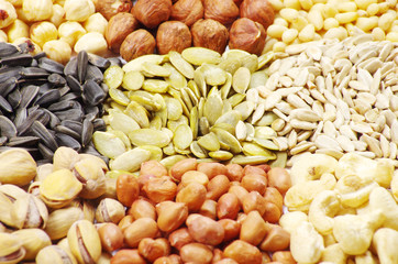 seeds and nuts