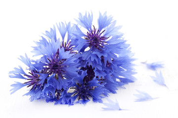 Kornblumen
