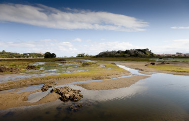 marisma en isla (cantabria)