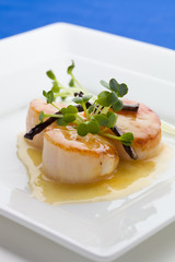 close up scallop