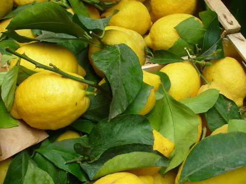 limoni