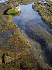 Beach rocks #04
