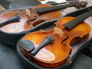 Fototapeta premium violini