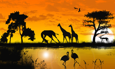 tramonto africano