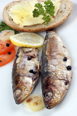frisch gegrillte Sardinen als Speise zubereitet