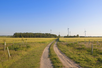 Fototapeta na wymiar rural windfarm