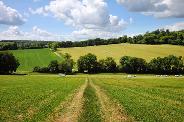 Fototapeta na wymiar An English Rural Landscape in early Summer