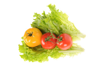 green salad and tomato isolated on the white background