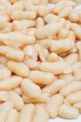 white beans