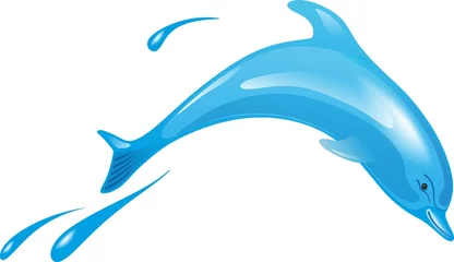 Afwasbaar Fotobehang Dolfijnen Delfin 1
