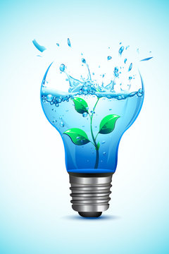 Plant in Light Bulb