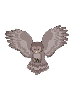 Owl flying with a mouse caught