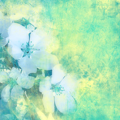 Flower vintage background