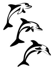 Three jumping dolphins