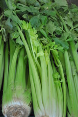 branches de cèleri au marché - cèleri fond
