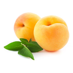 Apricot fruits with leaves isolated on white background