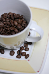 Kaffeebohnen in Tasse
